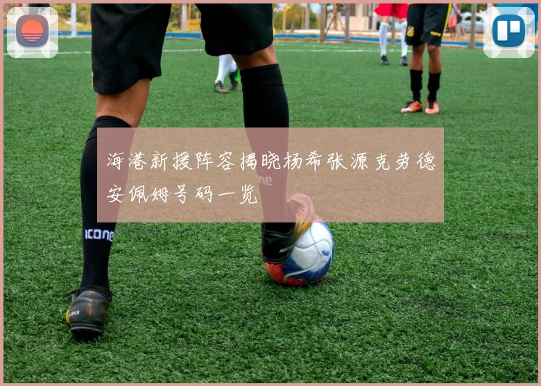 海港新援阵容揭晓杨希张源克劳德安佩姆号码一览