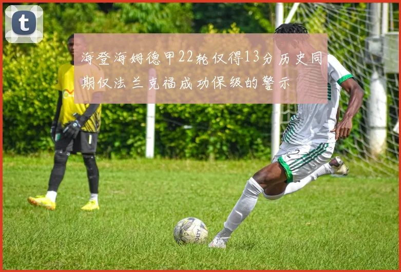 海登海姆德甲22轮仅得13分历史同期仅法兰克福成功保级的警示