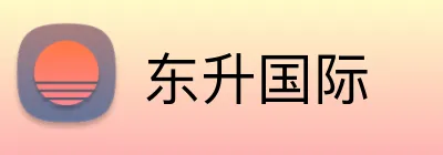 东升国际 logo